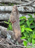 IMG_6077.jpeg