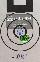 Ballistic-X-Export-2024-06-01 21:46:32.841738.jpg