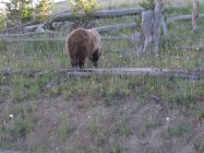 IMG_0035 (2).JPG