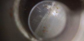 1718745750085.jpg 1718745750085.jpg