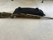IMG_0835.jpeg