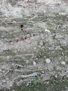 IMG_6117.jpeg