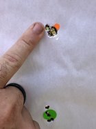 IMG_6253.jpeg