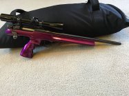 IMG_0831.jpeg