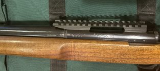 IMG_0917.jpeg