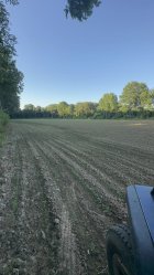 IMG_6114.jpeg