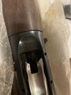 IMG_6419.jpeg