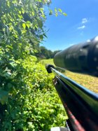 IMG_6129.jpeg