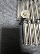 IMG_4509.jpeg