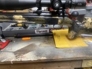 IMG_3716.jpeg
