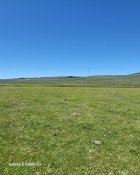 20240630_114409.jpg