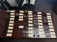 IMG_3209.JPEG