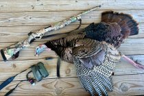 IMG_7456.jpeg