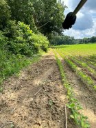 IMG_6135.jpeg
