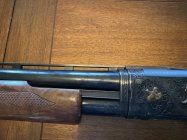 IMG_0724.jpeg