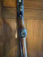 IMG_0728.jpeg