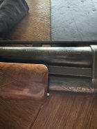 IMG_0789.jpeg