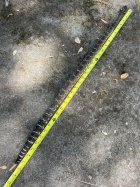 IMG_8311.jpeg