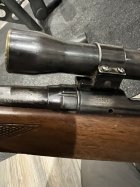 IMG_6330.jpeg