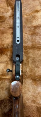 IMG_7875.jpeg