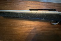 IMG_0829.jpeg