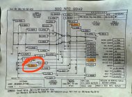 IMG_7945.jpeg