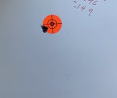 IMG_7152.jpeg