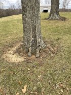 IMG_53081.jpg