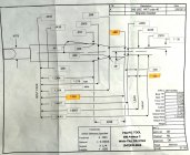 IMG_7982.jpeg