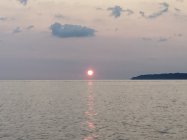 IMG_3773.jpeg IMG_3773.jpeg