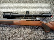 Sako side view.jpg