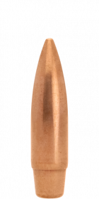 4PL7019-Lapua-D46-FMJBT-bullet-1.png