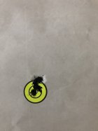 IMG_7856.jpeg