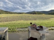 IMG_2991.jpeg