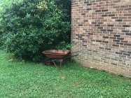 IMG_2662.jpeg