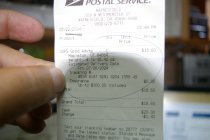 IMGP7965.JPG