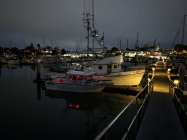 IMG_2216.jpeg