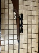 IMG_1429.jpeg