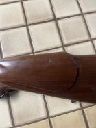 IMG_1431.jpeg