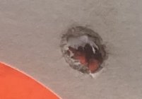 IMG_6675.jpeg