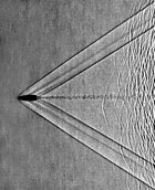 BE8E5E5C-0EE1-471D-A081-211C8BC2A9F2.jpeg