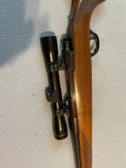 IMG_6390.jpeg