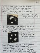 IMG_6399.jpeg