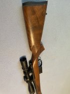 IMG_6398.jpeg