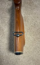 IMG_8169.jpeg