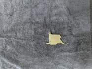 IMG_5192r.JPEG