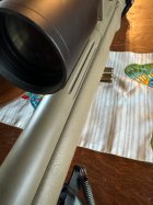 IMG_0984.jpeg