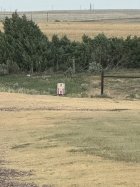 IMG_6100.jpeg