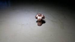 20160924_075132.jpg