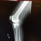 20240731_134335.jpg 20240731_134335.jpg